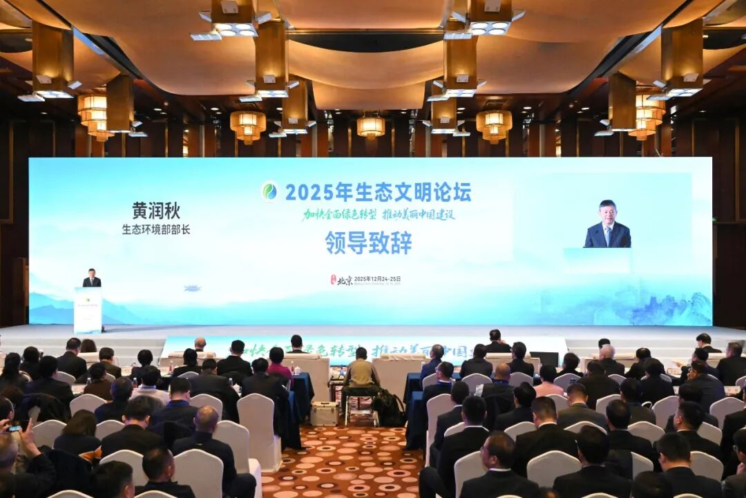 ������ʱ���ż���2025���й���̬������̳