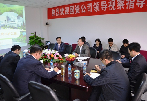 ���ʹ�˾��ί�򵼵������Ӳ�